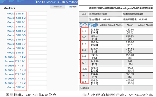 小鼠STR-18位點-30K.gif
