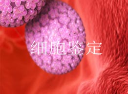 為什么要進行細胞鑒定？